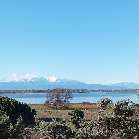 Le Capestang Lejlighed Canet-en-Roussillon Eksteriør billede