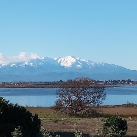 Le Capestang Lejlighed Canet-en-Roussillon Eksteriør billede