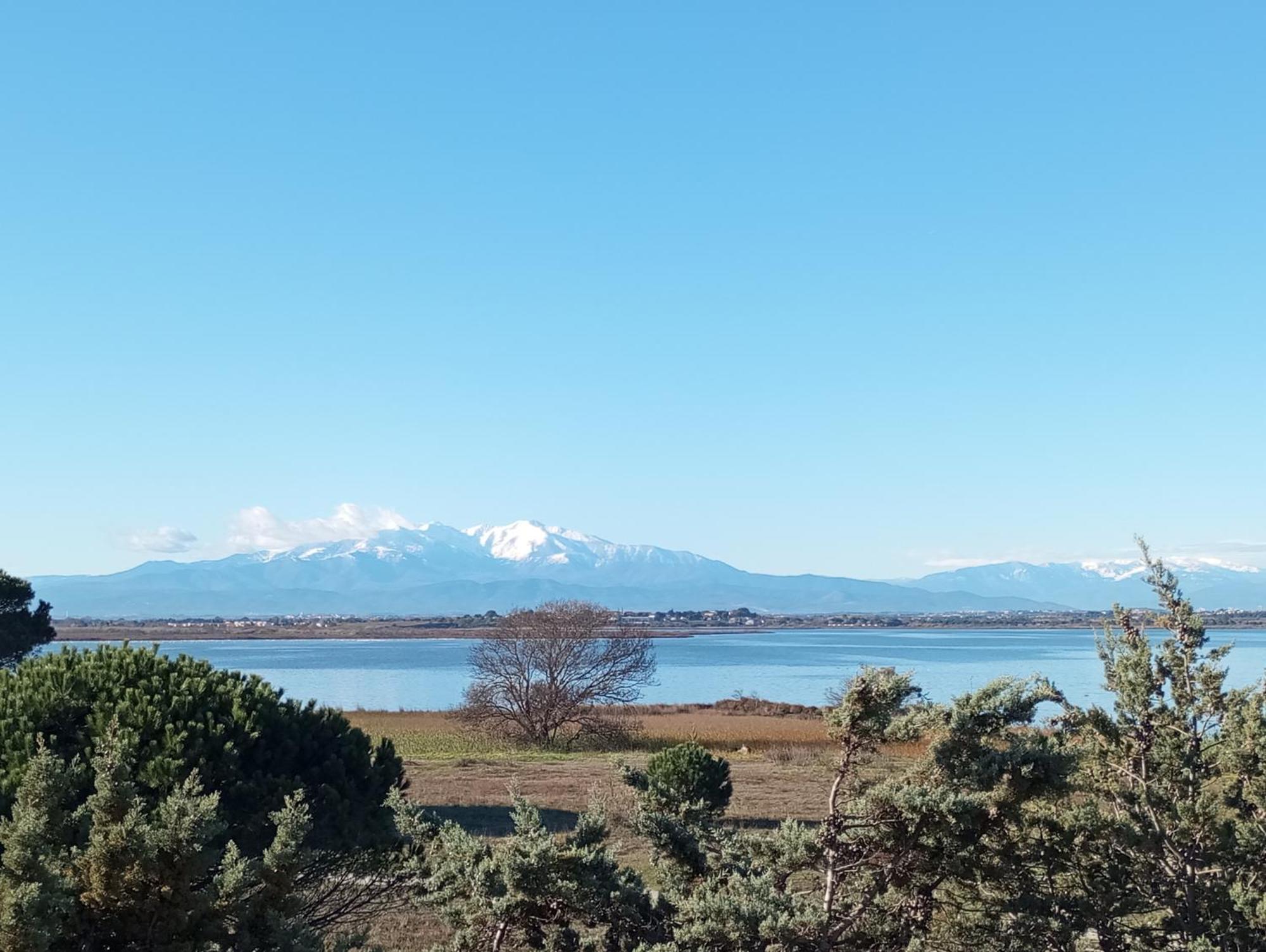 Le Capestang Lejlighed Canet-en-Roussillon Eksteriør billede