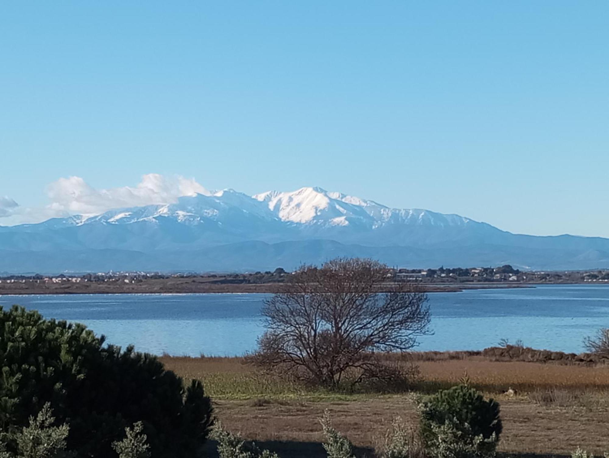 Le Capestang Lejlighed Canet-en-Roussillon Eksteriør billede